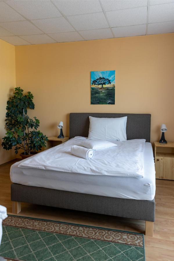 Hotel Betli Panzio Zalaegerszeg Esterno foto